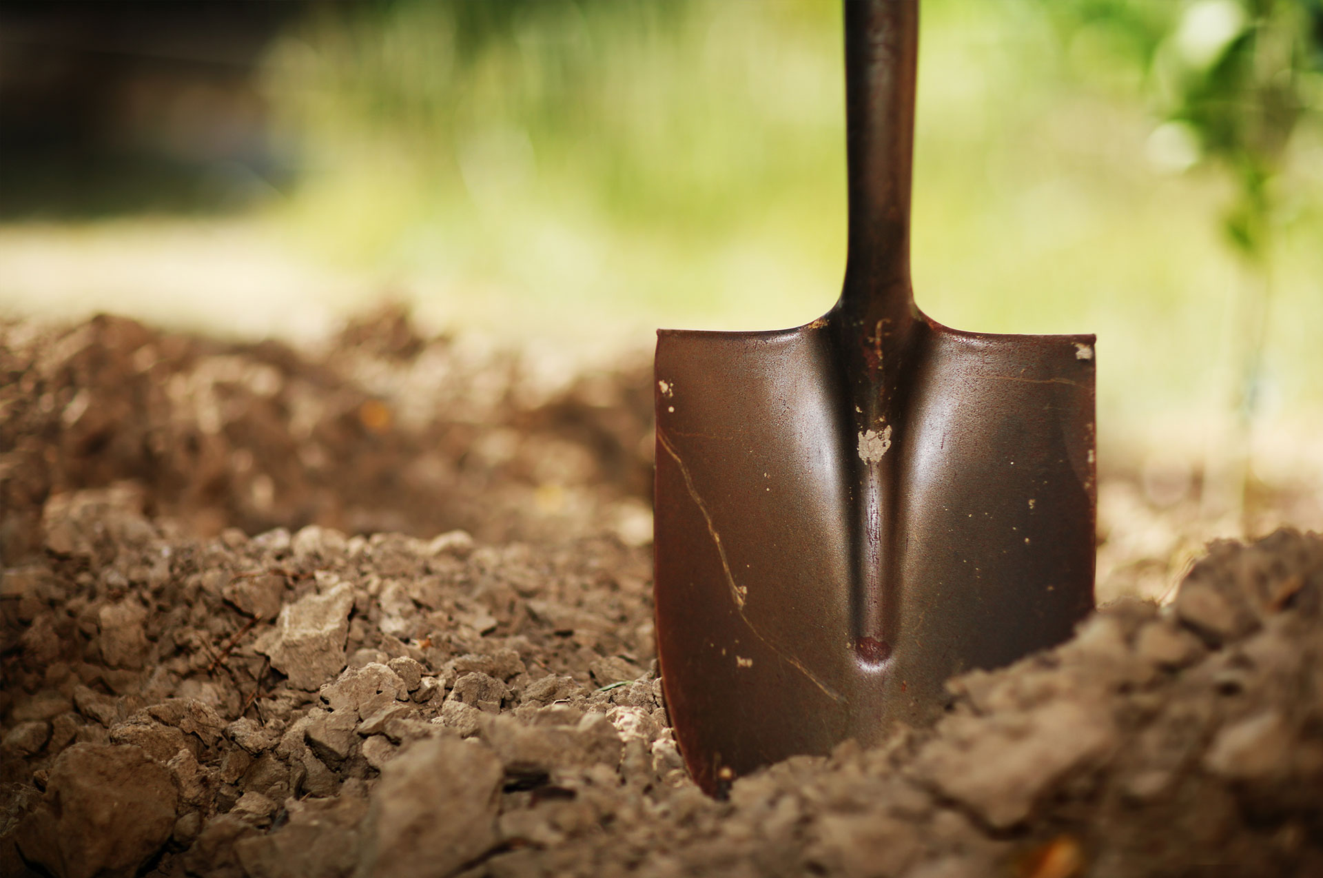 Learn More, Dig In. 